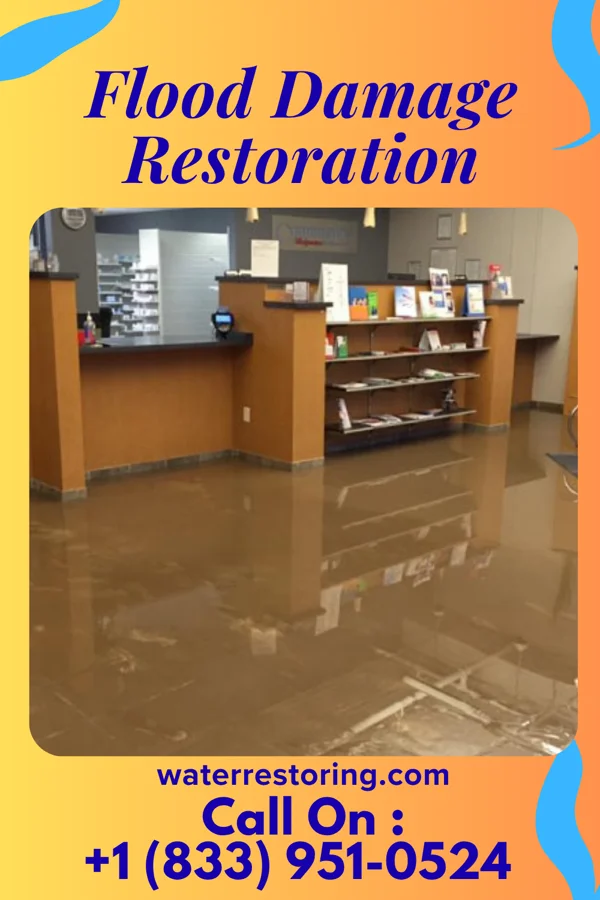 Flood Damage Restoration in Lemon Grove, FL